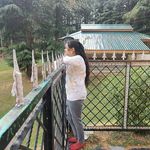 Anuja Shukla - @anuja.shukla.56 - Instagram