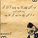 Anum Ayaz - @anumayaz8 - Instagram