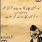Anum Ayaz - Facebook