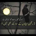Ayaz Anum - @anum.ayaz762021 - Instagram