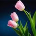 Anurag Dave - Facebook
