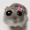 korlan.bentik💋💋💋 - @korlanushaa - TikTok