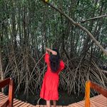 Anushree Joshi - @anushree_j_ - Instagram
