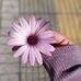 Anwar Abdallah - Facebook