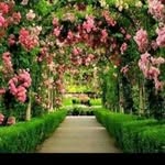 Anwar Alshaer - @zazaazz099000 - Instagram