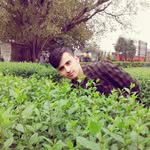 Anwar Amin - @anwaramin976 - Instagram
