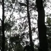 Anwar Anderson silva - @yeyen018 - TikTok