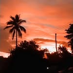 Anwar Ansari - @anwar_ansari_a - Instagram