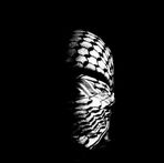 Anwar Arafat - Facebook