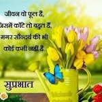 Anwar Aslam - @anwaraslam8 - Instagram