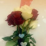 Nora Asmar - @anwarasmar2019 - Instagram
