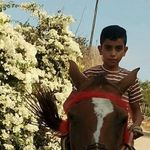 Anwar Awad - @anwarawad2123 - Instagram