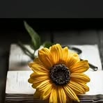 Anwar Azim - Facebook