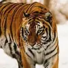 Anwar Azmi - @anwarazmi06 - TikTok