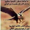 Anwar Azo - @anwar.azo - TikTok