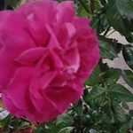 Anwar Baker - @baker_anwar - Instagram