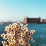 Anwar Baker Khateb - @bakerkhateb - Instagram