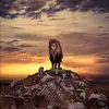 anwarbabaker - @anwarbabaker - TikTok