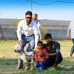 Anwar Bhatti - @anwarbhatti78 - Instagram