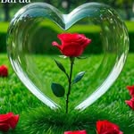 king_boy_amwar_786 - @anwar__choudhury - Instagram