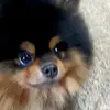 Anwar Clark - @anwar.clark0 - TikTok