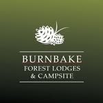 Dorset’s luxury forest lodges & award-winning campsite - @burnbakeforestlodges - Instagram