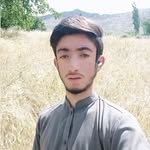 Suhail Anwar Elahi - @suhailanwar773 - Instagram