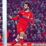 Anwar Elgendy - @anwar.elgendy.77 - Instagram