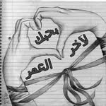 Anwar Elsayed - @elsayed2165 - Instagram