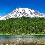 Anwar Green - @anwar.green.142 - Instagram