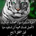 Anwar Hakim - @anwar.hakim.142240 - Instagram
