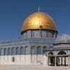 Anwar hamed - @anwarhamed.25 - TikTok