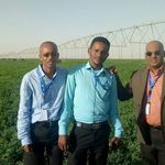 Anwar Hamed - @anwarhamed6 - Instagram