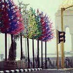 انور - @anwarhammoud - Instagram