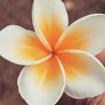 Anwar M. Haneef - @krayz.78 - Instagram
