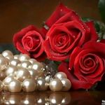 Anwar Hashim - @anwar.hashim.986 - Instagram