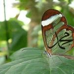 Anwar Hashim - @anwar6309 - Instagram