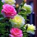 Hasham Anwar Hashmi - Facebook