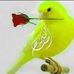 Anwar Hasson - Facebook