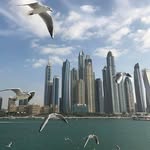 Anwar Istaygar Hasson - @anwar.hasson.52 - Instagram