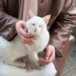 Anwar M Hasson - @anwar_hasson - Instagram