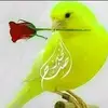anwarhasson20 - @anwarhasson20 - TikTok