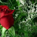 Anwar Hayat - @anwar.hayat - Instagram