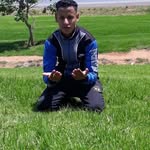 Anwar Hilal - @anwar.hilal.58 - Instagram