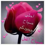 Anwar Hilal - @a7lanoor888 - Instagram