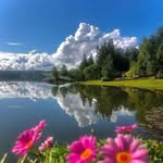 Anwar Hilal - @anwar.hilal.188 - Instagram