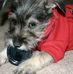 Anwar Howard Photography - Facebook