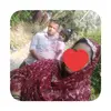 Anwar Husein - @anwar.husein65 - TikTok