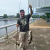 anwar_iqbal - @anwariqbal22722 - TikTok