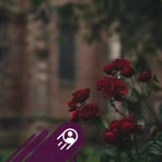 Anwar Jahan - Facebook